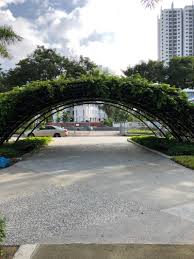 April 20, 2015, 10:49 p.m. Kelana Jaya Township Park Walk Petaling Jaya Selangor Malaysia Pacer