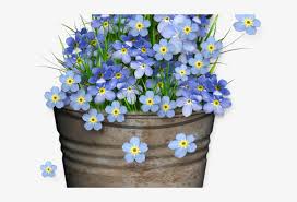 Blue and purple flower clip art. Forget Me Not Clipart Transparent Png Forget Me Not Flower 640x480 Png Download Pngkit