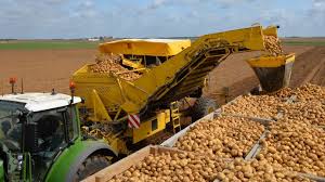 Découvrez la recette de pommes de terre sautées à faire en 20 minutes. Penurie De Pomme De Terre Envolee Des Prix Observatoire Des Aliments