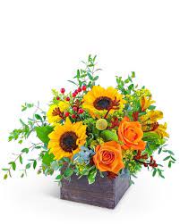 Maybe you would like to learn more about one of these? Fresh Thyme In Arlington Va Flowers With Love