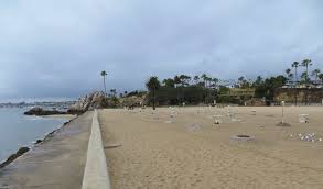 Maybe you would like to learn more about one of these? Corona Del Mar State Beach Newport Beach Ca California Beaches