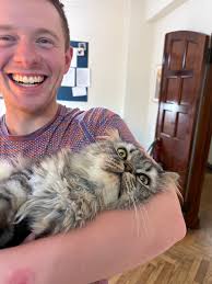 Room for rent in 3 bedroom Denver home