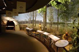 Forest Exhibition Exibition Design Museum Exhibition Design Nature Museum