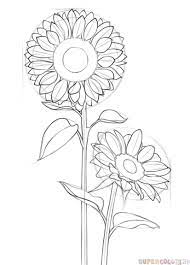 How To Draw A Sunflower Step By Step Drawing Tutorials Flower Drawing Sunflower Drawing Drawings