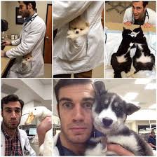 If you are looking for veterinarians near. Pin On Woanetwork Animals
