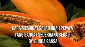Sayur pepaya merupakan salah satu olahan pepaya yang bisa dijadikan referensi ketika kita ingin membuat masakan untuk pelengkap ketupat. Cara Membuat Salad Buah Pepaya Yang Sangat Sederhana Sekali By Bunda Sansa Youtube