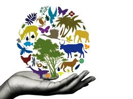 Pin By Sara Bardoni On Diversity Environment Day Biodiversity World Environment Day