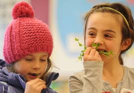 MV Local Food in Island Schools