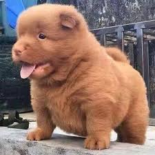 pretty guy newton (@prettyguynewton)