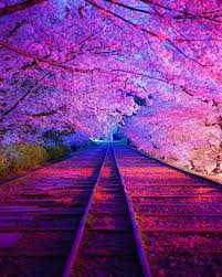 Ich Bin Zufallig Hier Madchen Front Ruriweb Mobile In 2020 Schone Hintergrund Bilder Naturbilder Fantasielandschaft Graue augen lange haare blonde haare schön. pinterest