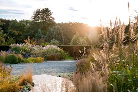 Garten garten landschaftsbau pflanzen bepflanzung garten ideen vorgarten garten planen garten gestalten garten gestalten ideen. Pflegeleichter Garten Tipps Ideen Schoner Wohnen