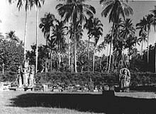 Tapi yang identik dengan banyuwangi adalah rujak soto karena rasa dan untuk kuliner ini bisa ditemukan di rumah makan pecel ayu, di jalan adi sucipto banyuwangi. East Java Wikipedia