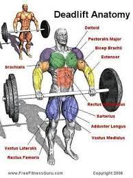 8 Ways To Deadlift Deadlift Deadlift Benefits Anatomy