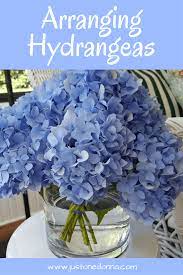 Tips For Arranging Hydrangea Flowers In Your Home Hydrangea Arrangements Hydrangea Flower Arrangements Flower Arrangements Diy