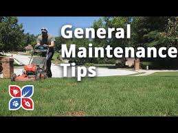 Visit the small business administration website for information about how to do this, or check the online. Do My Own Lawn Care General Maintenance Tips E16 Youtube