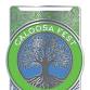 Caloosa Fest 5k