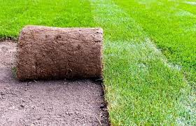 Hızlı ve kolay anlık çim. Bir Rulodan Cim Bir Rulodan Cim Alanlarinin Uygulanmasi Ve Bakimi 2019 2020