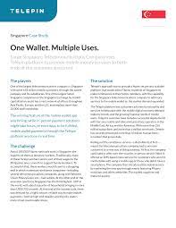 One Wallet. Multiple Uses.