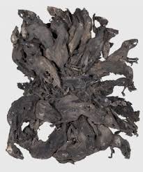 «крысиный король» из естественного музея mauritianum (альтенбург, германия). Krysinyj Korol Vysohshij Krysinyj Korol