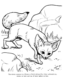 Keep your kids busy doing something fun and creative by printing out free coloring pages. Desert Animals Coloring Pages Coloring Home