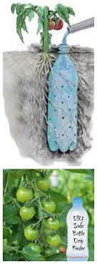 Don T Have A Green Thumb Follow This Advice And You Soon Will Easy Garden Garden Hacks Diy Diy Garden Projects