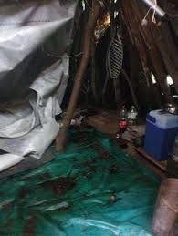 Wapens conings eerder gevonden in dilserbos. Was Dit De Schuilplaats Van Jurgen Conings Deze Tent Werd G Het Belang Van Limburg Mobile