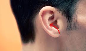 And there are two different kinds of conch piercings, the outer and inner types. What Is A Conch Removal Procedure And Why Did This Man Do It To His Ears Allure