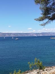 Spaniolii merg în sferturi, după cel mai nebun meci de la acest turneu. Near Sea No Stress Restaurant Review Of Konoba Busola Jelsa Croatia Tripadvisor