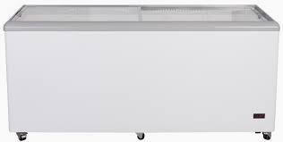 Not hugely popular but this place has real ice rink unlike some with waxes ice which is not so much fun. Chef S Exclusive Ce206 Commercial Frost Free Sub Zero Mobile Ice Cream Display Chest Freezer 20 Cubic Feet Flat Glass Lid Top With Wire Baskets 71 Inch Wide White Buy Online In Dominica
