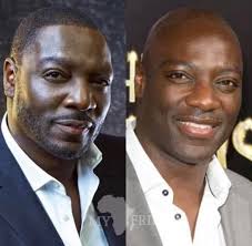 Remembering Prof Ayo Akinwale, Nigerian actor and academician