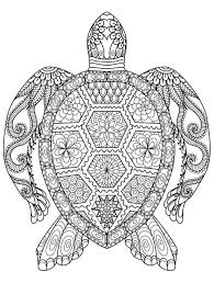 Pin On Colouring Pages