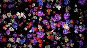 Check spelling or type a new query. Vj Loops Pack Vol 72 Flower Rain Lime Art Group