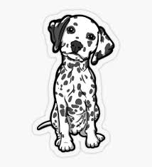 Black And White Redbubble Stickers Pet Designs Gifts Merchandise Animal Stickers Black Stickers Black And White Stickers