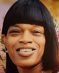 Stephanie M. Harbison Obituary 2024