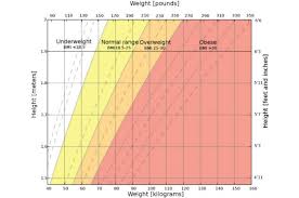 What Your Waistline Says About Your Health The Active Times