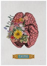 Spring Sale Think Human Brain Poster Anatomical Art Brain Etsy Brain Art Anatomy Art Brain Illustration