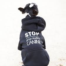 Epingle Sur Vetements Pour Chien