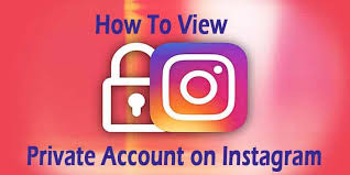 There is a way to see private instagram profile, no survey. How To View Instagram Private Account 2021 Techcrachi Com