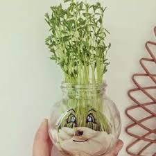 Diy Bonhomme Aux Lentilles Idee Cadeau Photo Diy Petit Pot En Verre