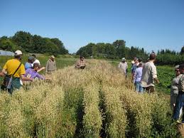 2012 OSGC Proceedings DRAFT