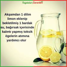 Aksamdan Limon Eklenip Bekletilen Su Toksitlerin Atilmasina Yardimci Olur Limon Limonlusu Sagliklibeslenm Health Drink Fruit Drinks Alcohol Fruit Drinks