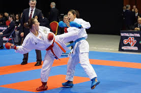 Bettina plank is an austrian karateka. Facebook