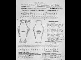 Veterinary Dentistry Charting For Technicians