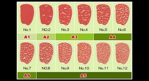 japanese grading chart for wagyu beef in 2019 wagyu beef