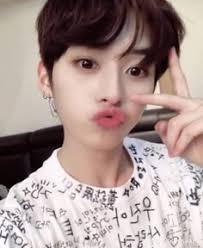 31 ideias de A Lee know🐰