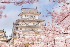 The cherry blossoms trope as used in popular culture. Cherry Blossom Festival In Japan When And Where Go