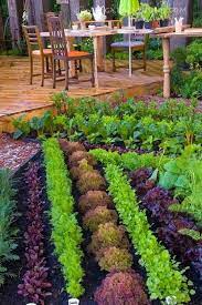 Maybe you would like to learn more about one of these? How To Map Out A Vegetable Garden Awesome Materials Edible Garden Edible Landscaping Outdoor Gardens