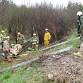 Large Animal Emergency Rescue Training Course event image