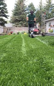 Pin On Lawn Mowing