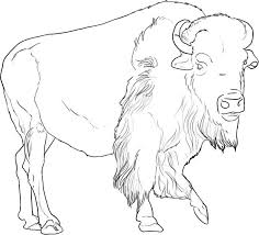 Free African Buffalo Wallpaper Wallpapers Download Buffalo Pictures Buffalo Painting Buffalo Art